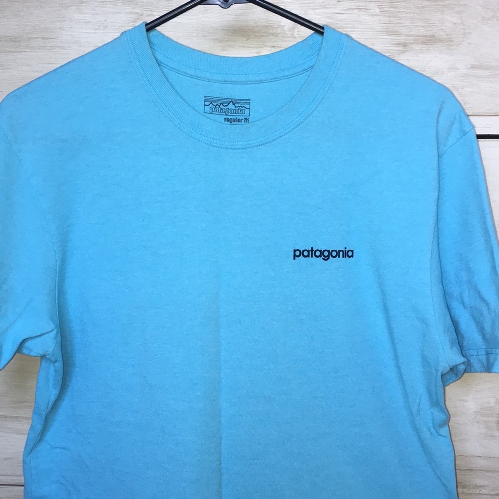 Patagonia t-shirt